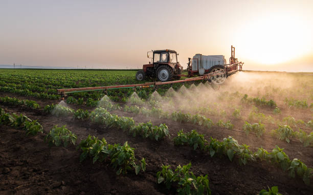 Best Pest Control Near Me  in Labasas, CA