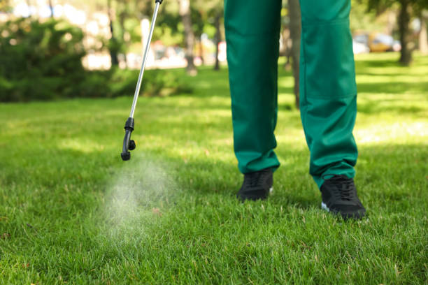 Bird Control in Calabasas, CA