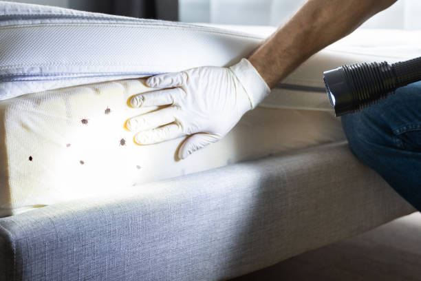Best Exterminator Services  in Labasas, CA