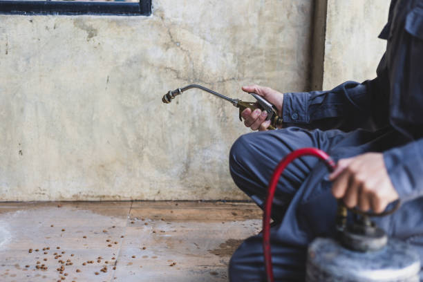 Best Wasp Removal Services  in Labasas, CA